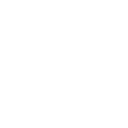 Bespoke Ecommerce Integration