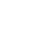 Multiple Currency Display