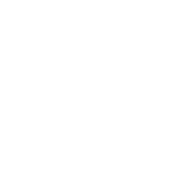 Custom Gallery Management
