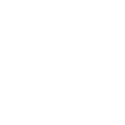 Video Integration