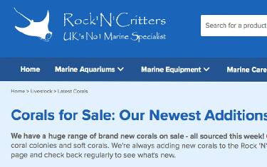 Latest Corals Page