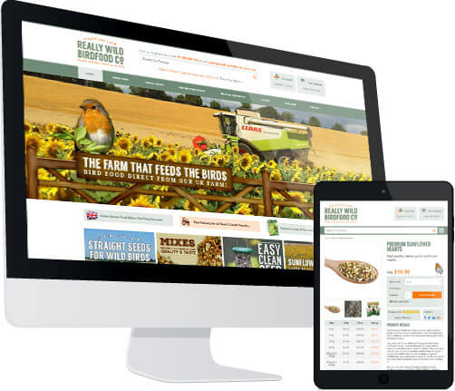 Ecommerce website development