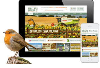 Really Wild Bird Food